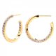 Pendientes CAVALIER P D PAOLA AR01-239-U Mujer plata IP dorado