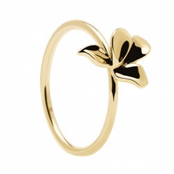 Anillo narcise AN01-182-12 gold mujer