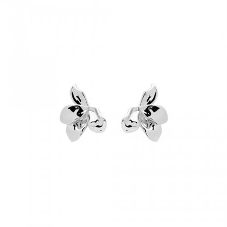 Pendientes Narcise AR02-191-U plata mujer