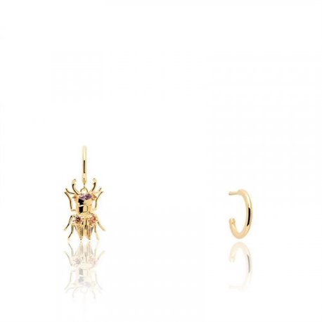 Pendientes P D Paola Strenght beetle AR01-366-U