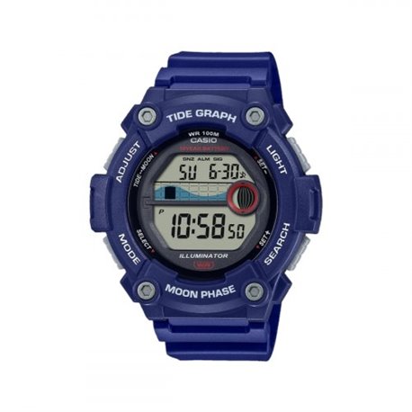 Reloj Casio Collection WS-1300H-2AVEF resina